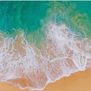 Meet your Posher, Tanisha